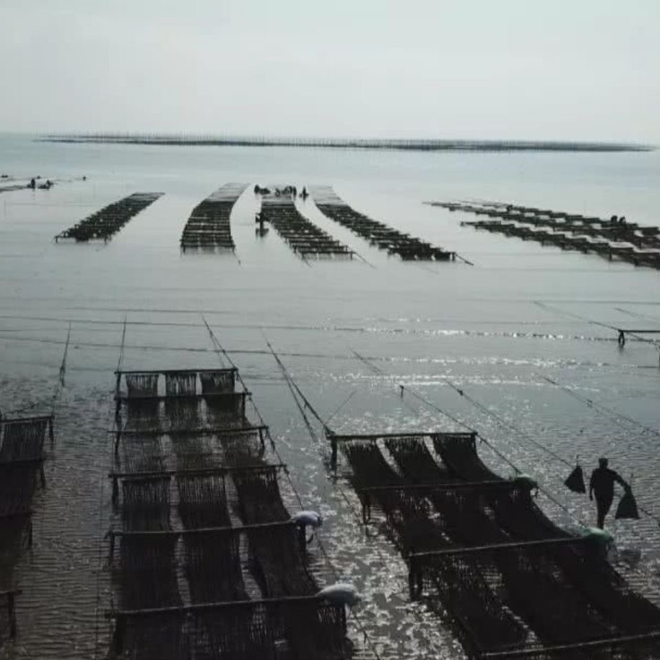 微信图片_20211025200517