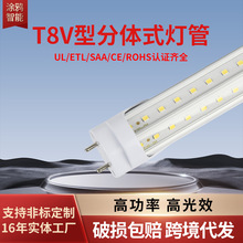 T8V͟40WT8ʂ}؎쌣ledpչSAAULCEJC