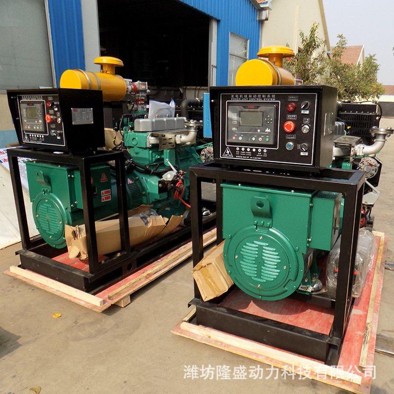 工地发电机 潍坊30kw燃气发电机组 低噪音沼气池州发电机