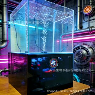 �W�t����ײ����~��һ�wʽ�מV���I�L�o�����滯�k����С���~��