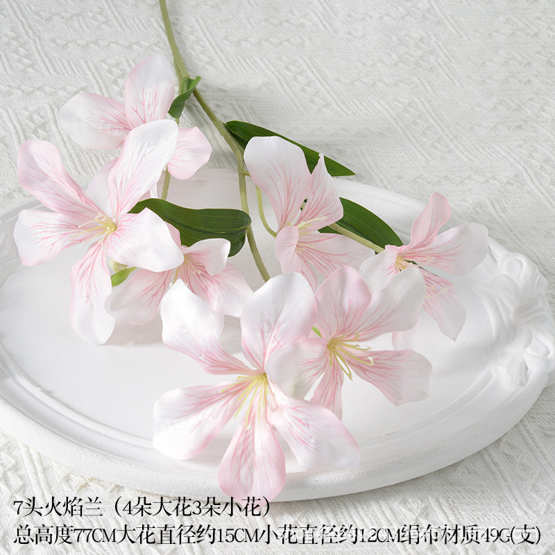 7 flame orchid light pink