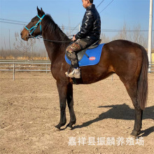 �T���R���ۊʘ��R�T���R�����R�R�x �ɹ��R��c���R ���^���R