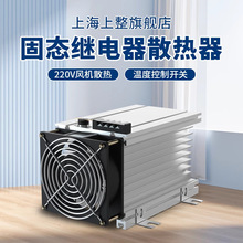 �����̑B�^���GJ����ɢ��������ɢ��Ƭ���L�ȽӾ����Ӝض��_�P