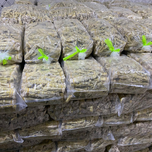 �R����Ŀɽ�S�ɸ�؛Ұ���r���������r��S���S�۹S���Ҝ��ɹS���l