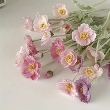 ��ɫ���u�����˿羳����ٻ����ڻ��͏d�����b[�������˷��滨