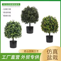 Amazon Simulation Green Plant Basin Plant Planted Olive Tree Bonsai Bonsai Interior and Outside Porch Courtyard Ido Popular Wood Wholesale