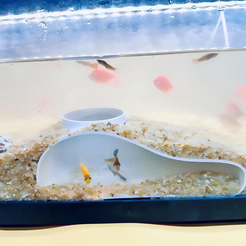 跨境创意鱼缸地下隐藏洞穴水族馆地下小型鱼隐藏隧道鱼缸造景装饰|undefined