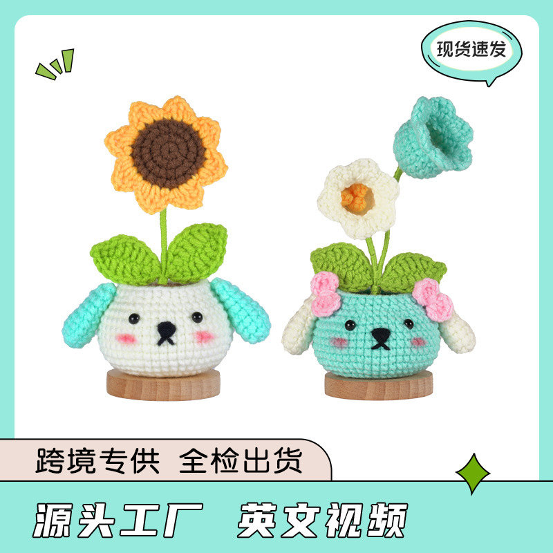 英文说明书亚马逊新品盆栽摆件diy钩针材料包毛线团编织创意礼物