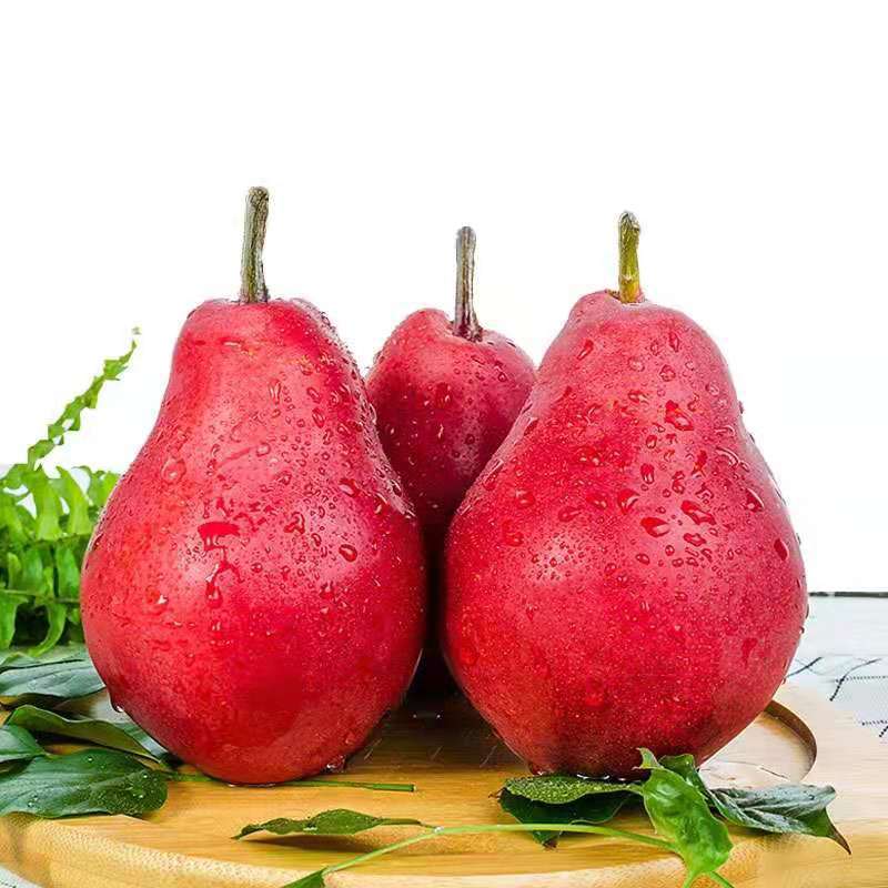 【现货】红啤梨红皮梨梨子水果新鲜3/5斤孕妇水果整箱一件代发|ms