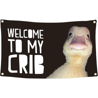 亚马逊挂毯Welcome to My Crib Funny Flag 欢迎大鹅趣味装饰挂布