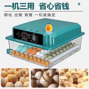 ȫ�Ԅ����ܷ����������u�������Z����С�uɽ�u���ļ���С�ͷ�����