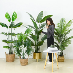Simulated plants, simulated trees, traveler bananas, large floor-standing green plants, potted plants, indoor living room, home decoration ornaments, fake trees