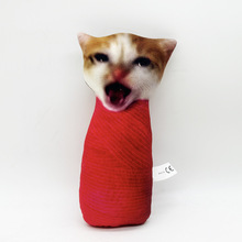 �羳�¿� meme cat���żt���ķ���؈ ë�q��߹��� ��ż