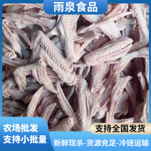 �V�|���r�F�������Z�Z���Z�������r�����Zצɢ�B�R���Z���_�Z���