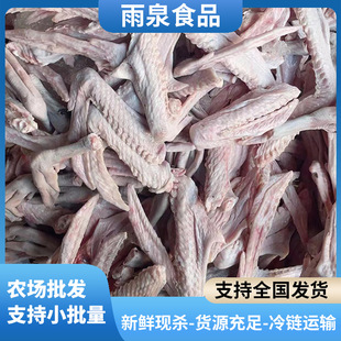 �V�|���r�F�������Z�Z���Z�������r�����Zצɢ�B�R���Z���_�Z���