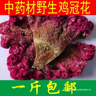 ���uҰ���u�ڻ� �t�u�ڻ� �o���u�ڻ� 500�˰��]��؛��؛