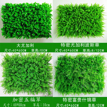 ֲϼٲƺbTƵGֲ҃ȵ픱w