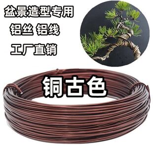 �辰�X�z�������F�z���͹̶��νz�������F�z�Ϙ������X������