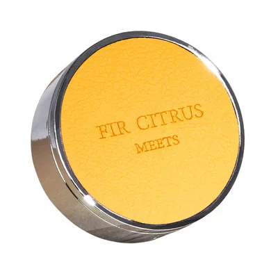 High-End Popular Car Air Outlet Car Perfume Aromatherapy - fir-citrus