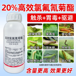 ӯ̩�o�r20%��Ч�ȷ������֬�rș���{�����x�|��θ���rș���x��