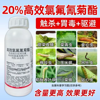 盈泰护农20%高效氯氟氰菊酯脂农药甘蓝菜青虫触杀胃毒农药杀虫剂
