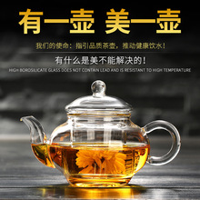 玻璃茶壶小号透明过滤耐热玻璃花茶壶迷你泡茶器功夫茶壶茶具套组