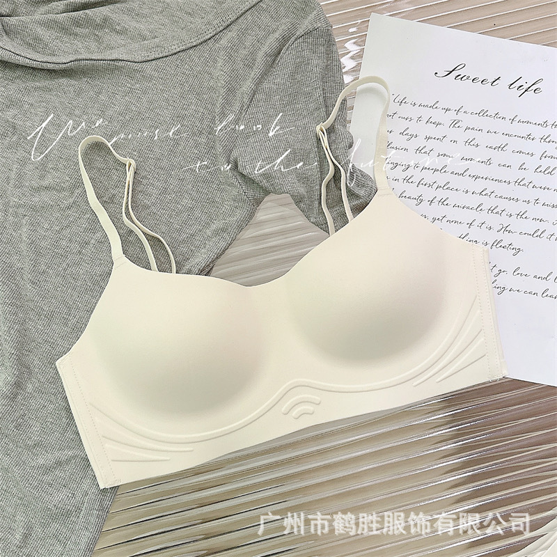 Venta directa de fábrica comercio electrónico transfronterizo Sudeste de Asia Vietnam Tailandia damas sin costuras sujetador de recogida lateral cómodo