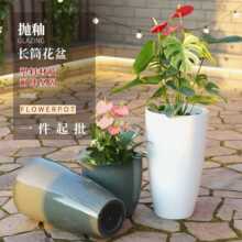 ���ñ��W���s���Ը�Ͳ��ˮ����֬�����̖��ؾGֲ�辰����������