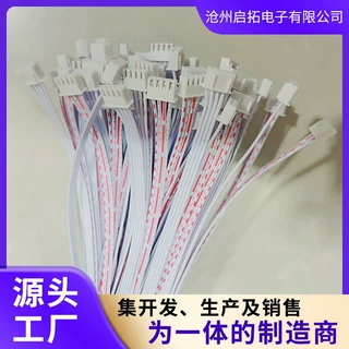 4P双头2.54端子线公母头端子线并排线 线材加工双头同向红白排线