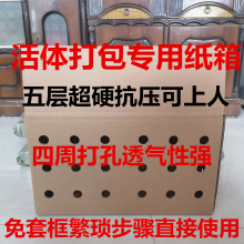 打包纸箱5层瓦楞加硬抗压打孔纸箱适用鸽子各种宠物运输