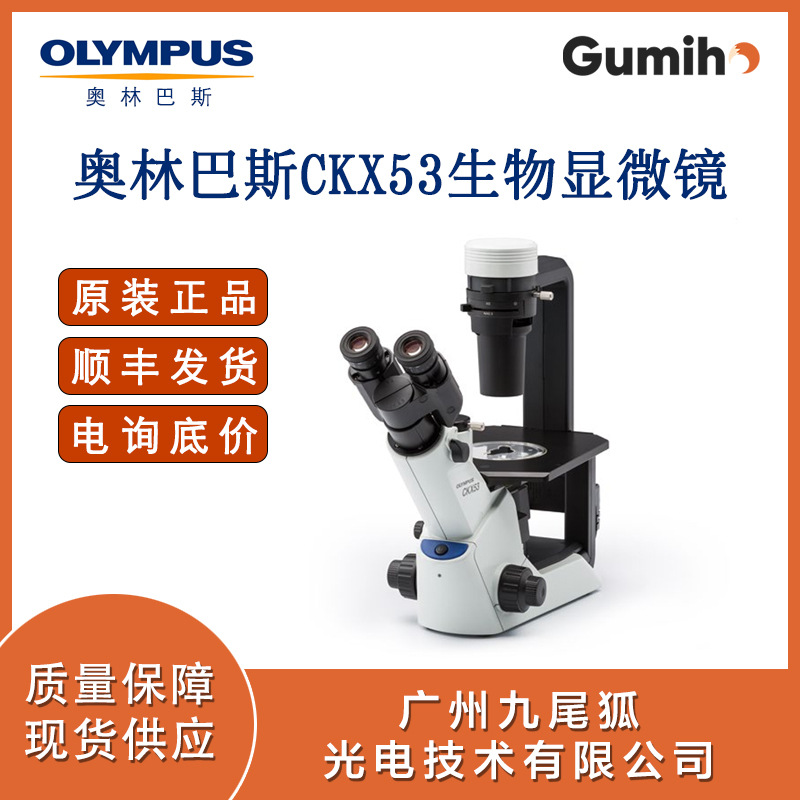 奥林巴斯CKX53荧光显微镜销售  高清