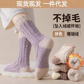 珊瑚绒袜子女加厚秋冬中筒保暖袜居家地板袜加绒睡觉袜睡眠袜批发
