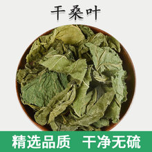 桑叶中药材霜打霜后桑叶干500g干桑叶泡水喝霜桑叶茶桑树叶中草药