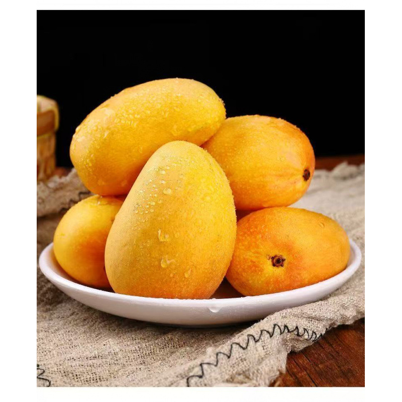 海南小台农芒果新鲜现摘应当季热带水果小台鸡蛋芒特产整箱包邮