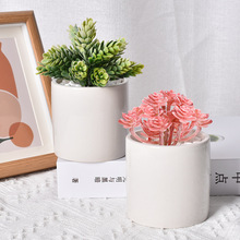 多肉白瓷花盆景简约创意高级白色陶瓷家居园艺国际出口绿植陶瓷盆