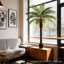  ؙ IgᎧȼٸ ̈͏d}쾰