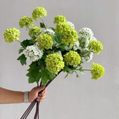 シミュレーションの花の木のあじさいのボールの雪の玉の小さいあじさいのボールの家の結婚祝いの屋外の造景のサンプルの板の部屋の装飾の生け花の偽の花の卸売り