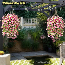 ���R�d�羳���滨�ȼ�����ţ�������Ҿӱڒ��b��滨�ّ���ͥԺ