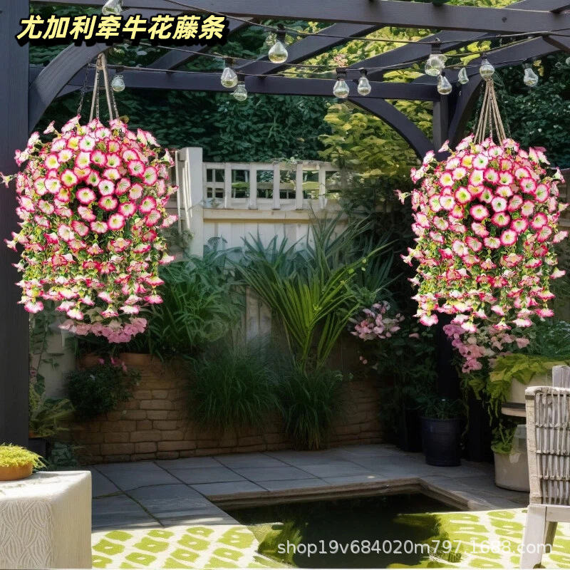 Amazon Cross-Border Artificial Flowers Eucalyptus Morning Glory Silk Flowers Home Wall Hanging Decoration Artificial Flower Vine Outdoor Garden Amazon Cross-Border Artificial Flowers Eucalyptus Morning Glory Silk Flowers Home Wall Hanging Decoration Artificial Flower Vine Outdoor Garden
