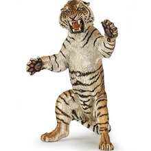 վ�������Sɫ������PVC����վ�������Sɫ������վ�������Sɫ��