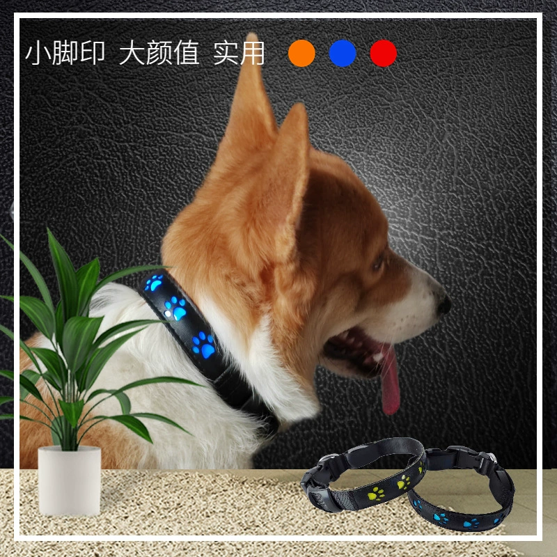 Товары для домашних животных Светящийся ошейник Собачья лапа Принт Собачий след Светящийся шейный ошейник Зарядка Ночной светящийся ошейник
