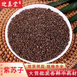 中药材批发供应 苏子 紫苏子 紫苏籽 籽类药材一站式采购承接大货