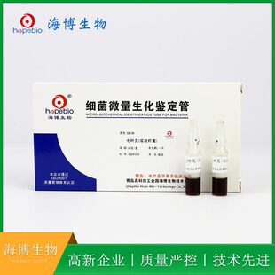 ���~�`���p��U����	GB196 20֧/�� ���u��������