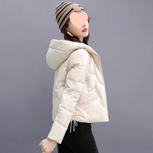 OӋqŮ̿2025¿rСpq