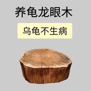 ������̨��̨��ˮλ��Ȼ����ľ�����׸�Ƥ�쾰�[����ľ�{��ˮ�|