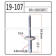 304全钢紧固件封闭型扁圆头 国际标准BK12618半钢抽芯铆钉批发