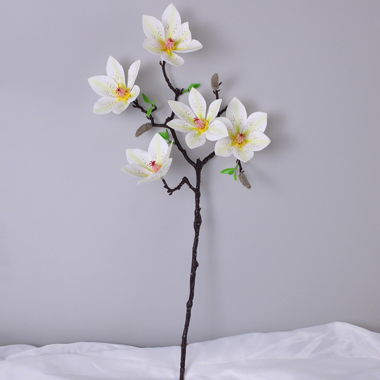 5 PU Xiaolia (Milk White)