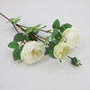 Simulation Aos rose single -piece 3 flowers 1 stamen feel rose peony flower wedding simulation flower fake flower wholesale