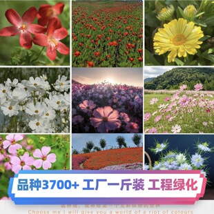 �S��һ���b���ܷN���ļ����N���ղ�̫ꖻ��N��ͥԺ�׷N���ܻ��N��
