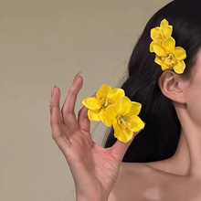 ɭϵ��ɫ����ץ�к������̷���������С�����鷢����������߼г�